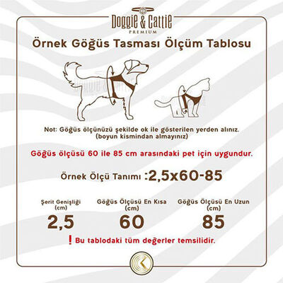 Cattie Havalı Dokuma Kedi Göğüs ve Gezdirme Tasması Medium Siyah 1x25-35 Cm 
