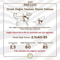 Cattie Kedi Göğüs ve Gezdirme Tasma Takımı Kırmızı 1x25-40 Cm - Thumbnail