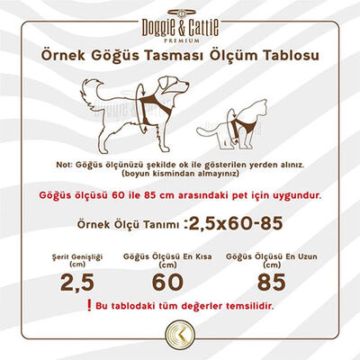 Cattie Kedi Göğüs ve Gezdirme Tasma Takımı Kırmızı 1x25-40 Cm 
