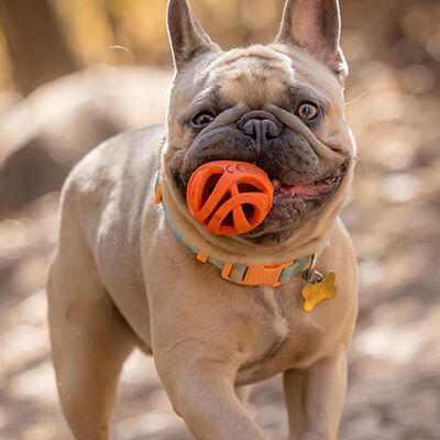 Chuckit! Air Ball 2'li Köpek Oyun Topu Küçük Boy 5 Cm 