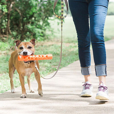 Chuckit! Air Fetch Stick Dayanıklı Çubuk Köpek Oyuncağı Büyük Boy 31 Cm 