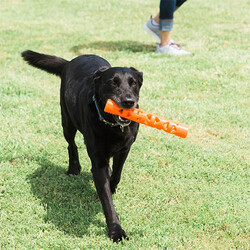 Chuckit! Air Fetch Stick Dayanıklı Çubuk Köpek Oyuncağı Büyük Boy 31 Cm - Thumbnail