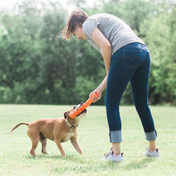 Chuckit! Air Fetch Stick Dayanıklı Çubuk Köpek Oyuncağı Küçük Boy 18 Cm - Thumbnail