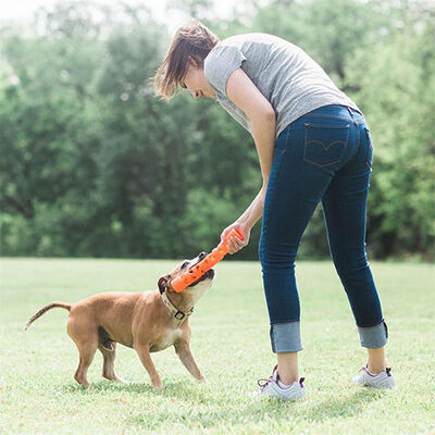 Chuckit! Air Fetch Stick Dayanıklı Çubuk Köpek Oyuncağı Küçük Boy 18 Cm 
