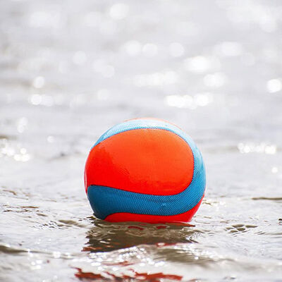 Chuckit! Amphibious Yüzebilen Köpek Oyun Topu 12 Cm 