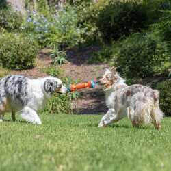 Chuckit! Rugged Dayanıklı Getirme Köpek Oyuncağı Küçük Boy 30x11x7 Cm - Thumbnail