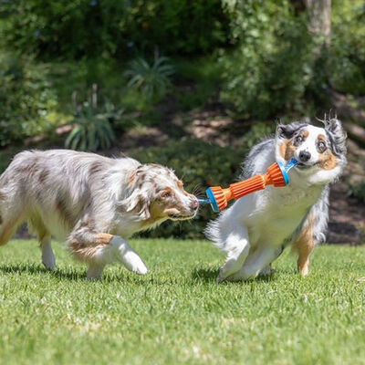 Chuckit! Rugged Dayanıklı Getirme Köpek Oyuncağı Küçük Boy 30x11x7 Cm 