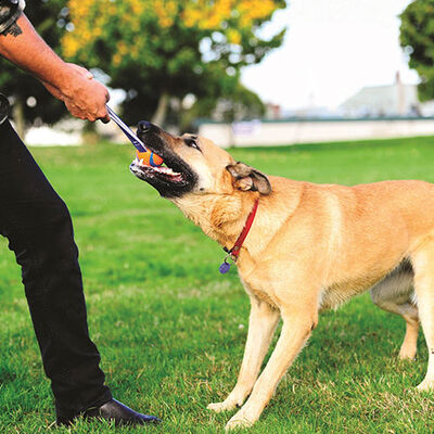 Chuckit! Ultra Duo Tug Dayanıklı Çekiştirme Köpek Oyun Topu Büyük Boy 7,6 Cm 