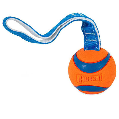Chuckit! Ultra Duo Tug Dayanıklı Çekiştirme Köpek Oyun Topu Büyük Boy 7,6 Cm 