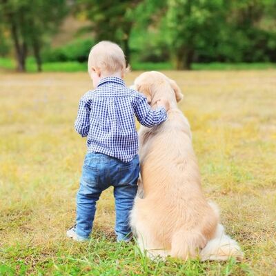 Çocukları Köpeklerle Büyütmenin Faydaları