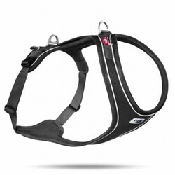 Curli - Curli Belka Comfort Köpek Göğüs Tasması Siyah XL 