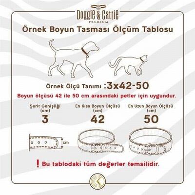 Doggie Çift Kat Deri Güçlü Çivili Köpek Boyun Tasması Camel 5x60-70 Cm 