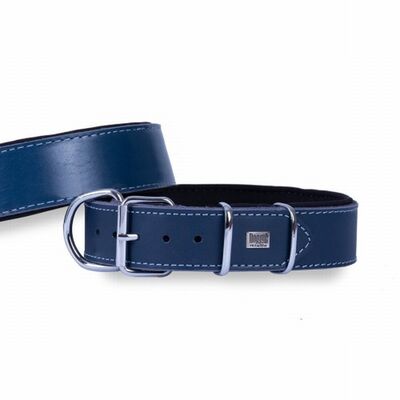 Doggie Çift Kat Deri Köpek Boyun Tasması Royalblue 4x52-60 Cm 