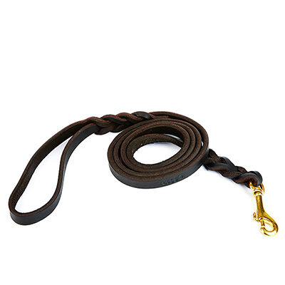 Doggie Eğitimci Yağlı Deri Köpek Gezdirme Tasması Oil Kahverengi 1,1x150 Cm