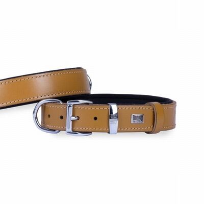 Doggie Konfor Deri Köpek Boyun Tasması Camel 2,5x37 45 Cm 