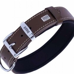 Doggie Konfor Deri Köpek Boyun Tasması Kahverengi 3,5x52 60 Cm - Thumbnail