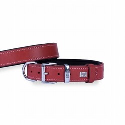 Doggie - Doggie Konfor Deri Köpek Boyun Tasması Kırmızı 2,5x37 45 Cm 