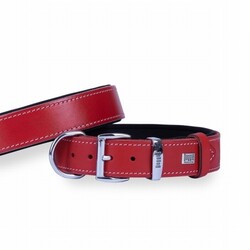 Doggie - Doggie Konfor Deri Köpek Boyun Tasması Kırmızı 3,5x52 60 Cm 