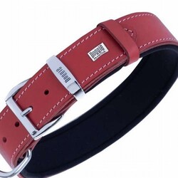 Doggie Konfor Deri Köpek Boyun Tasması Kırmızı 3,5x52 60 Cm - Thumbnail