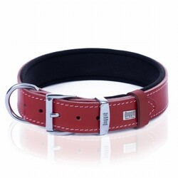 Doggie Konfor Deri Köpek Boyun Tasması Kırmızı 4x52 60 Cm - Thumbnail