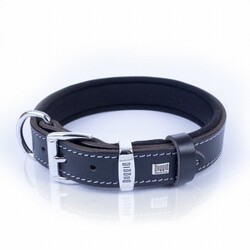 Doggie Konfor Deri Köpek Boyun Tasması Siyah 2,5x37 45 Cm - Thumbnail