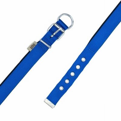Doggie Konfor Dokuma Köpek Boyun Tasması Royalblue 2,5x37 45 Cm 