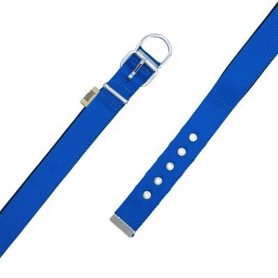 Doggie Konfor Dokuma Köpek Boyun Tasması Royalblue 3x42 50 Cm 