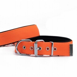 Doggie - Doggie Konfor Dokuma Köpek Boyun Tasması Turuncu 2,5x42 50 Cm 
