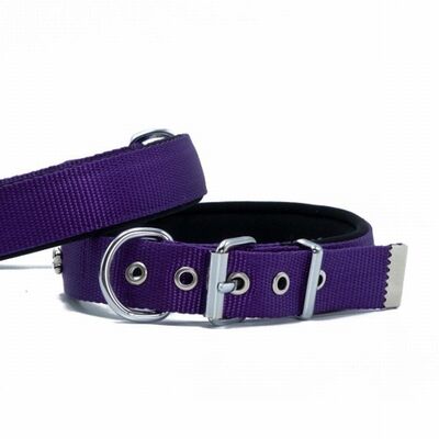 Doggie Konfor Dokuma Sade Köpek Boyun Tasması Mor 2,5x42 50 Cm 