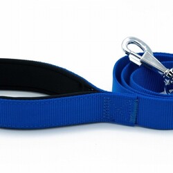 Doggie Konfor Klasik Dokuma Köpek Gezdirme Tasması Royalblue 3x100 Cm - Thumbnail