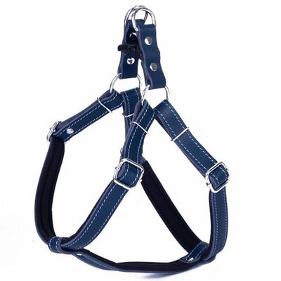 Doggie Konfor Ronin Deri Köpek Göğüs Tasması Royalblue 2x55 65 Cm 