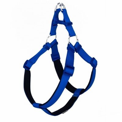 Doggie Konfor Ronin Dokuma Köpek Göğüs Tasması Royalblue 2,5x65-75 Cm 