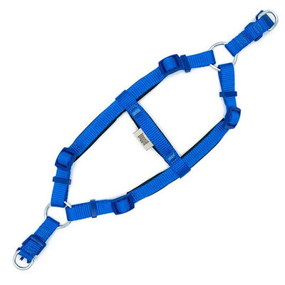 Doggie Konfor Ronin Dokuma Royal Mavi Köpek Göğüs Tasması XS 1,5 x 35-40 cm 