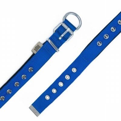 Doggie Konfor Dokuma Çivili Köpek Boyun Tasması Royalblue 2,5x37-45 Cm 