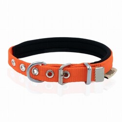 Doggie Konfor Dokuma Köpek Boyun Tasması Turuncu 1,5x20 25 Cm - Thumbnail