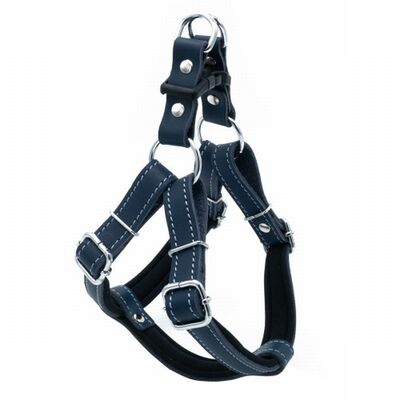 Doggie Konfor Ronin Deri Köpek Göğüs Tasması Royalblue 1,5x35 40 Cm 