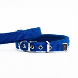 Doggie - Doggie Polar Pedli Sade Dokuma Köpek Boyun Tasması Royalblue 1,5x25-30 Cm 