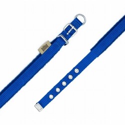 Doggie Polar Pedli Sade Dokuma Köpek Boyun Tasması Royalblue 1,5x25-30 Cm - Thumbnail