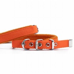 Doggie Polar Pedli Sade Dokuma Köpek Boyun Tasması Turuncu 1,5x25-30 Cm - Thumbnail