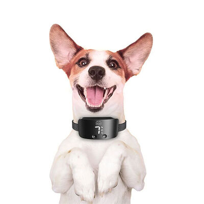 Doggie Premium Havlama Önleyici Köpek Eğitim Tasması Siyah 