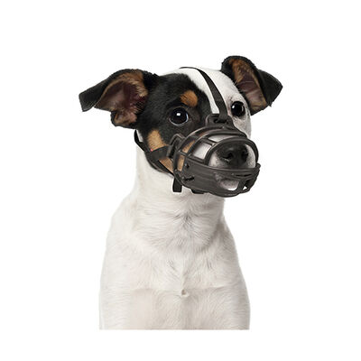 Duvo+ Kauçuk Köpek Ağızlığı Small 