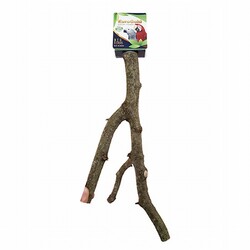 Eurogold - EuroGold Doğal Ahşap Papağan Tüneği 40 Cm 