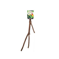 Eurogold - EuroGold Muhabbet ve Paraket Kuşları için Doğal Ahşap Tünek 25 Cm 