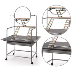 EuroGold - EuroGold Papağan Eğitim Sehpası 