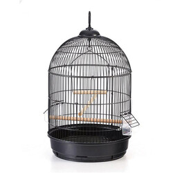 EuroGold - EuroGold Yuvarlak Salon Kuş Kafesi Siyah 42x77 Cm 