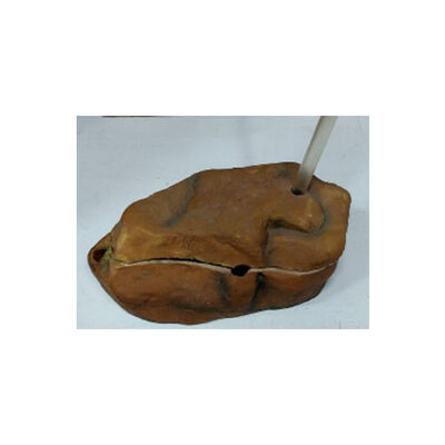 EuroGold Akvaryum Dekoru Yüzen Kaplumbağa Adası 21,5x14,5x5,5 Cm 