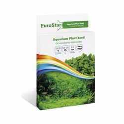 EuroStar - EuroStar Akvaryum Bitki Tohumu Glossostigma Elatinoides 