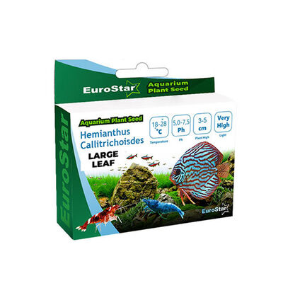 EuroStar Bitki Tohum Large Leaf Base Plant Akvaryum Bitki Tohumu 