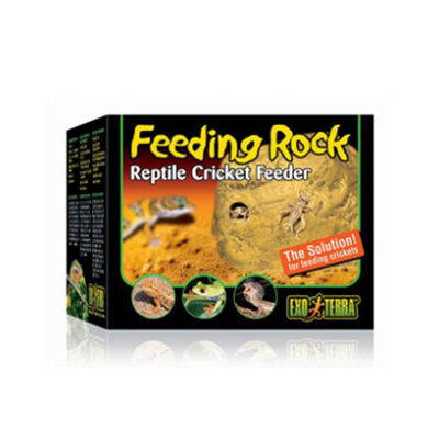 Exo Terra Böcek ve Çekirge Kayası Sürüngen Beslenme İstasyonu