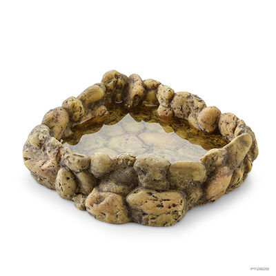 Exo Terra Corner Water Dish Sürüngen Su Kabı Large 